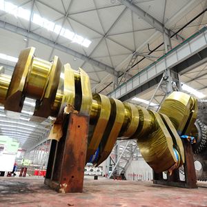 Diesel engine accessories - crankshaft